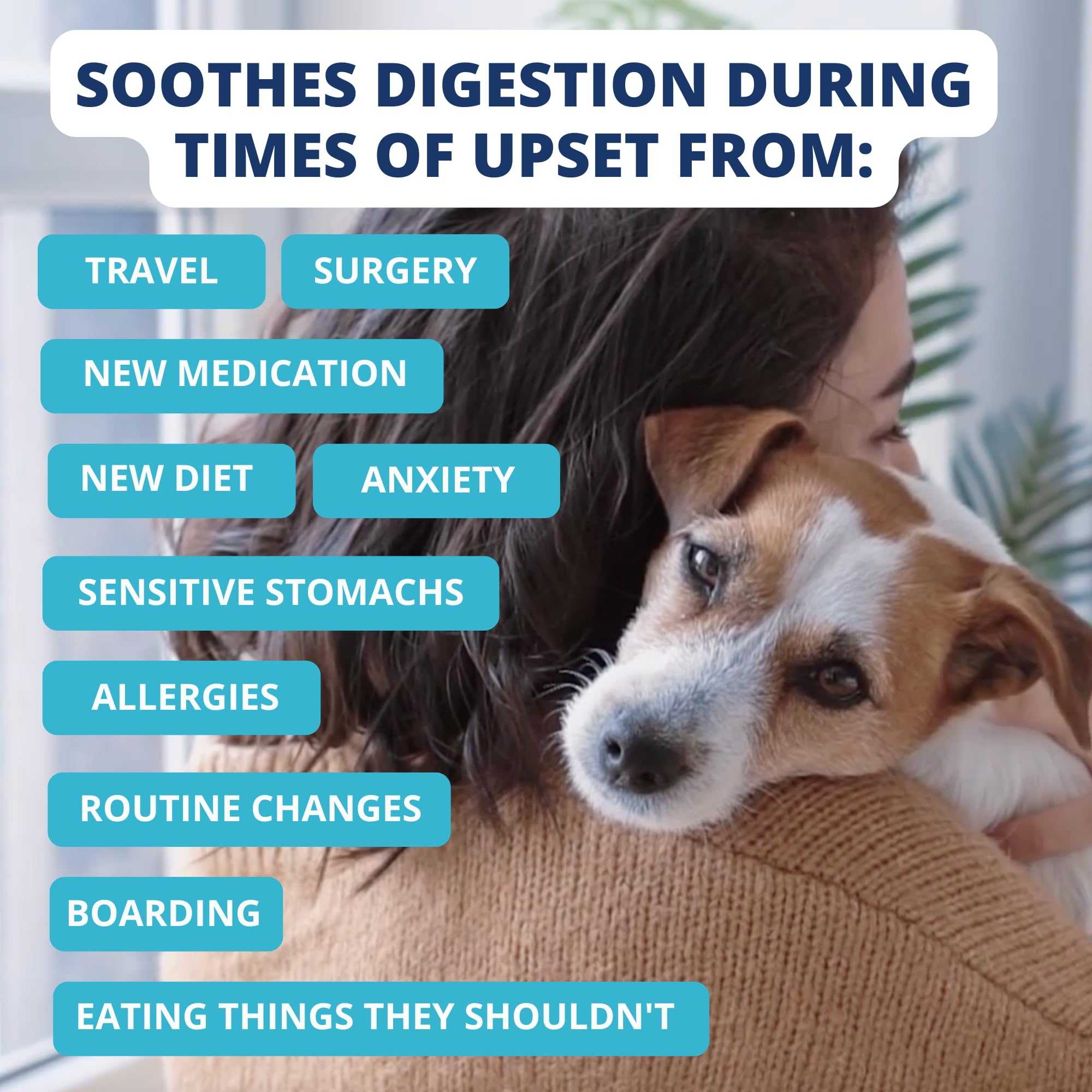 Under the Weather Bland Diet for Dogs | Easy to Digest for Sick Dogs | Always Be Ready | Contains Electrolytes - All Natural Freeze Dried 100% Human Grade Meats | 2 Pack - Chicken, Rice - 6oz - Image 4