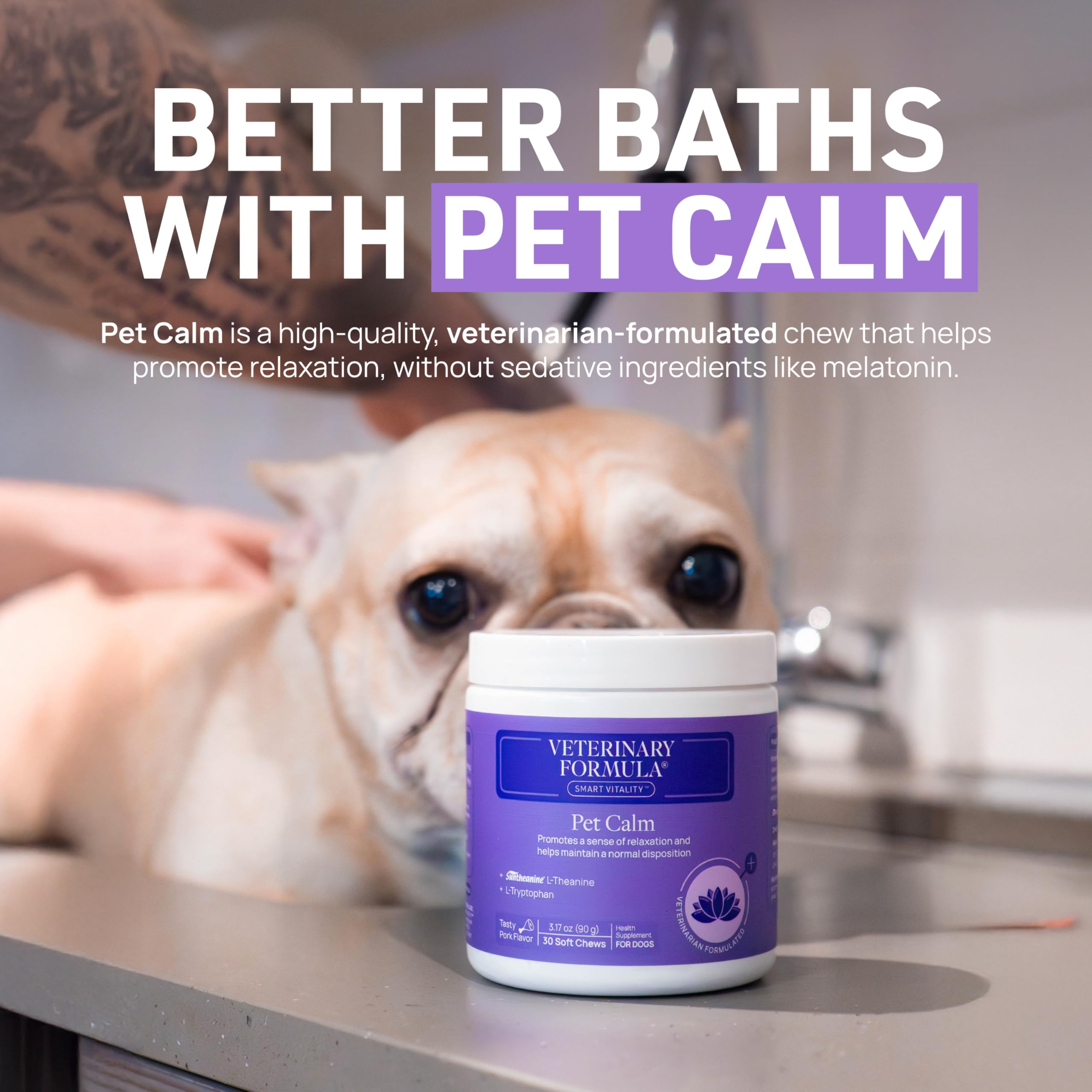 Veterinary Formula Flea and Tick Shampoo for Dogs and Cats, 16 oz - Image 9