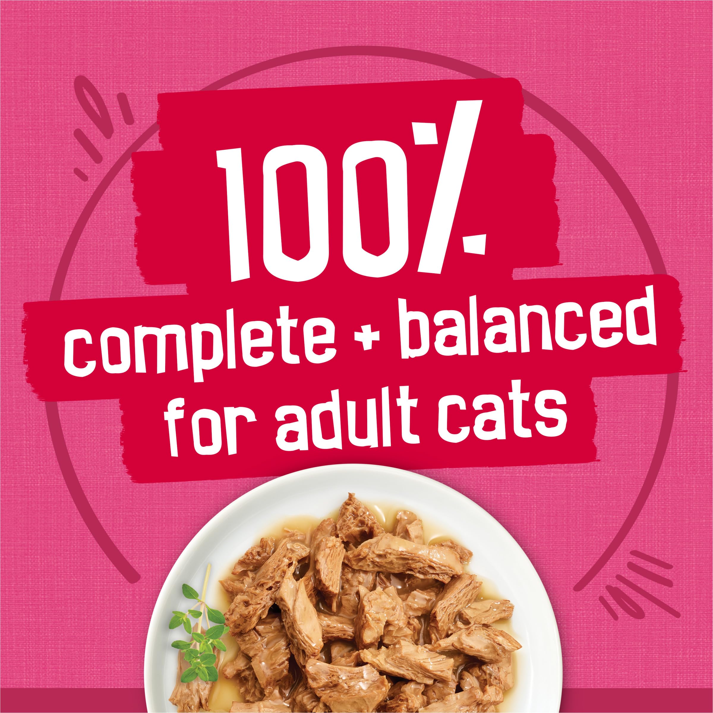 Purina Friskies Gravy Wet Cat Food Variety Pack, Surfin? and Turfin? Prime Filets Favorites - 48 ct. Can - Image 5