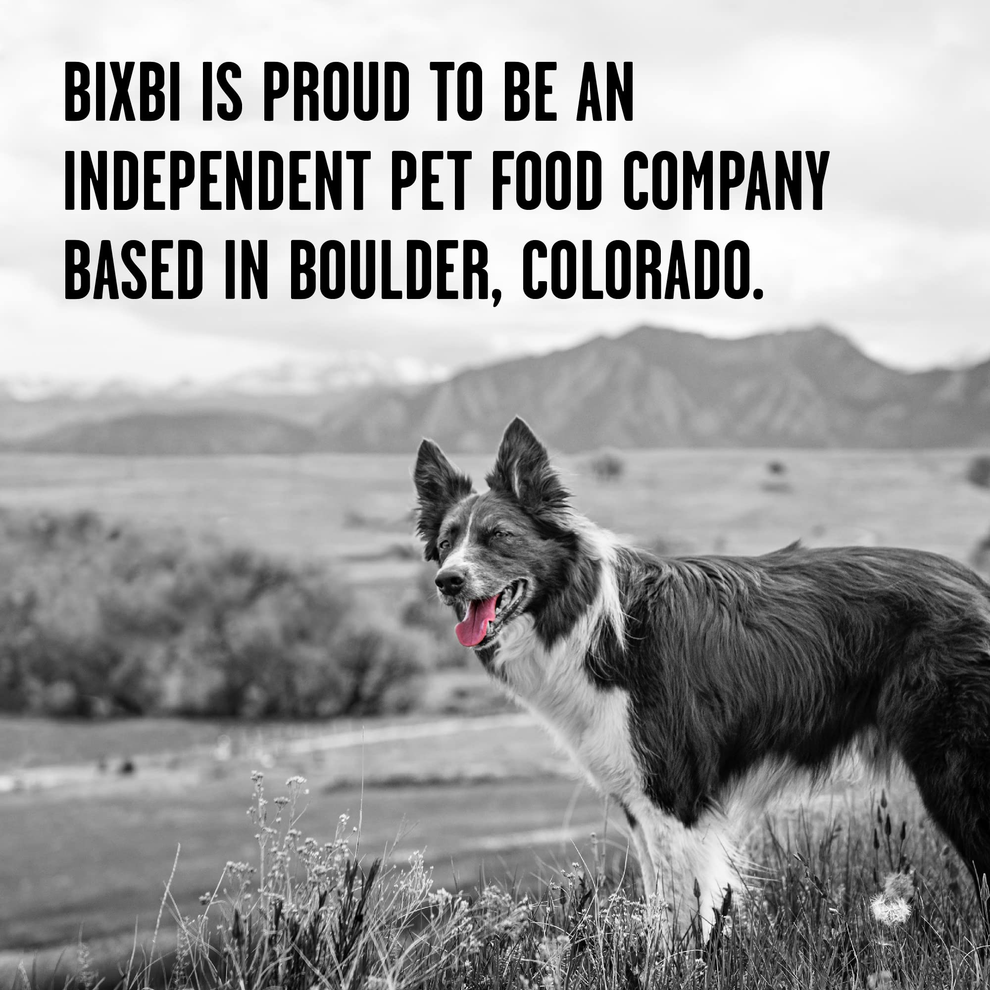 BIXBI Rawbble Freeze Dried Dog Food, Beef Recipe, 12 oz - 98% Meat and Organs, No Fillers - Pantry-Friendly Raw Dog Food for Meal, Treat or Food Topper - USA Made in Small Batches - Image 8