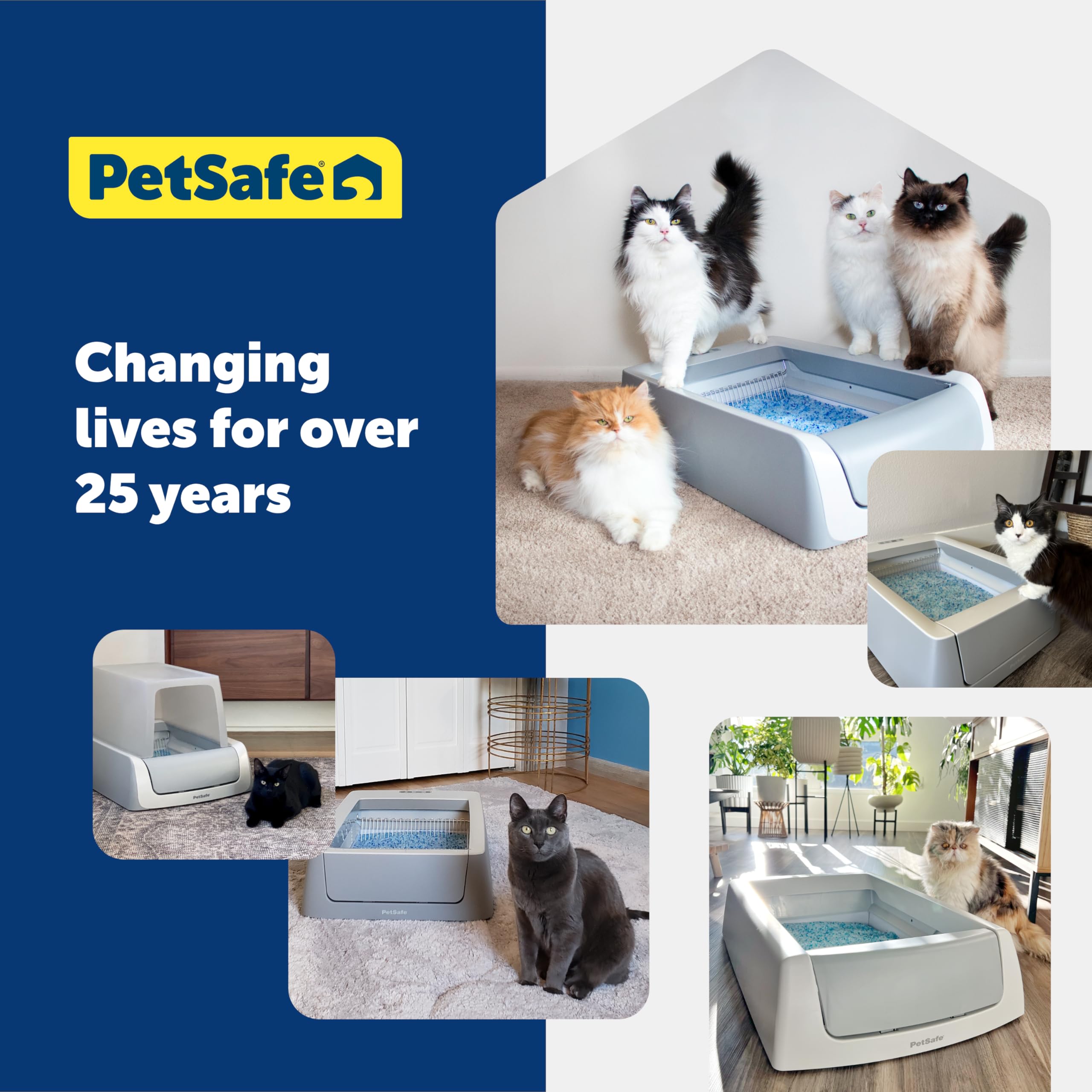 PetSafe ScoopFree Premium Crystal Cat Litter - Outperforms Clay Litter - Refill Packs - Reusable Tray Compatible - Fresh Scent - 4.3 lb Bags - 2 Pack - Image 7