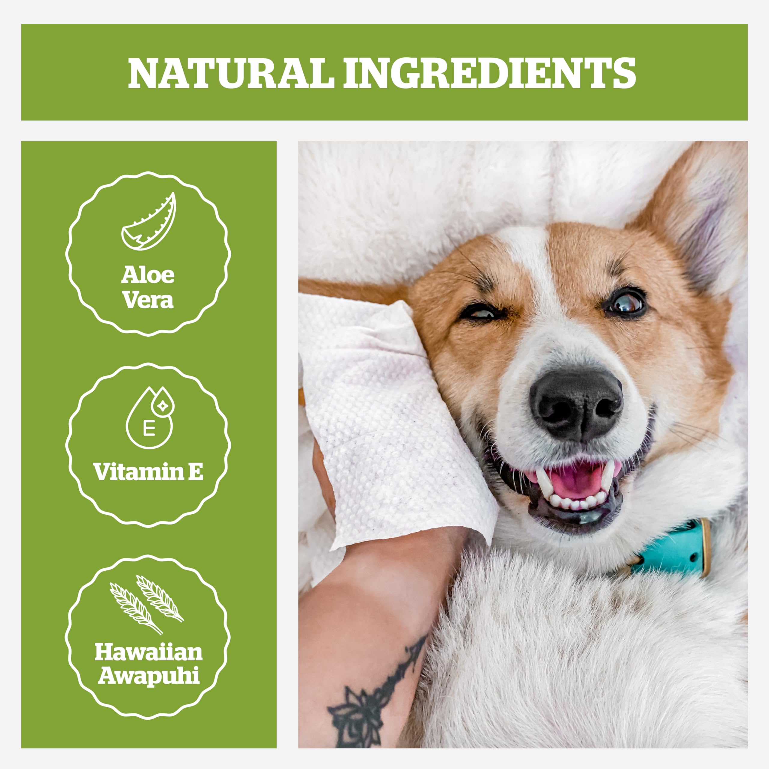 Pogi?s Dog Grooming Wipes ? Hypoallergenic Pet Wipes for Paws, Body & Butt ? Cleaning & Hydrating, Fragrance Free, 100-Count - Image 3