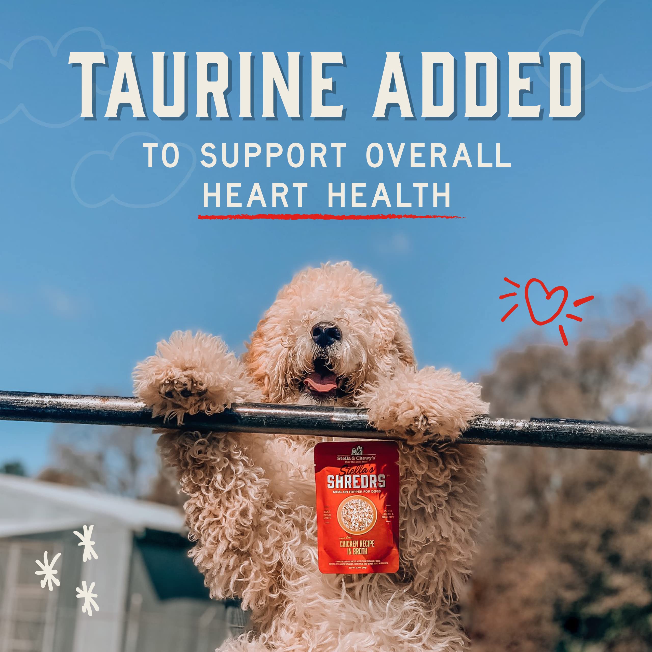 Stella & Chewy's Cage Free Chicken & Turkey Shredrs - Premium Dog Food Pouches - Perfect For Picky Eaters - 24 Pack, 2.8oz Each - Image 8