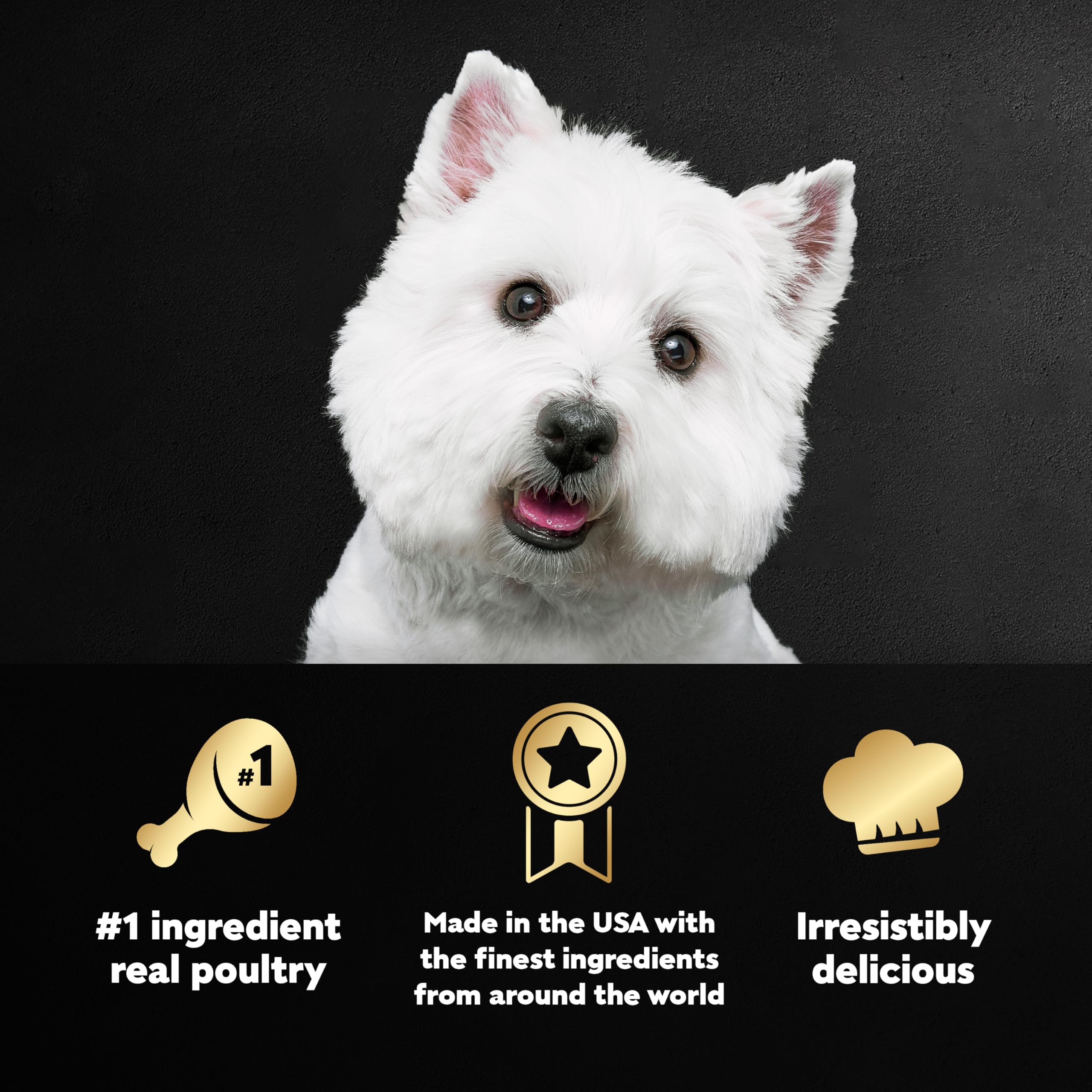 Cesar Wet Dog Food Poultry Lovers Variety Pack with Real Chicken, Turkey and Duck, 3.5 oz. Easy Peel Trays (36 Count, Pack of 1) - Image 3