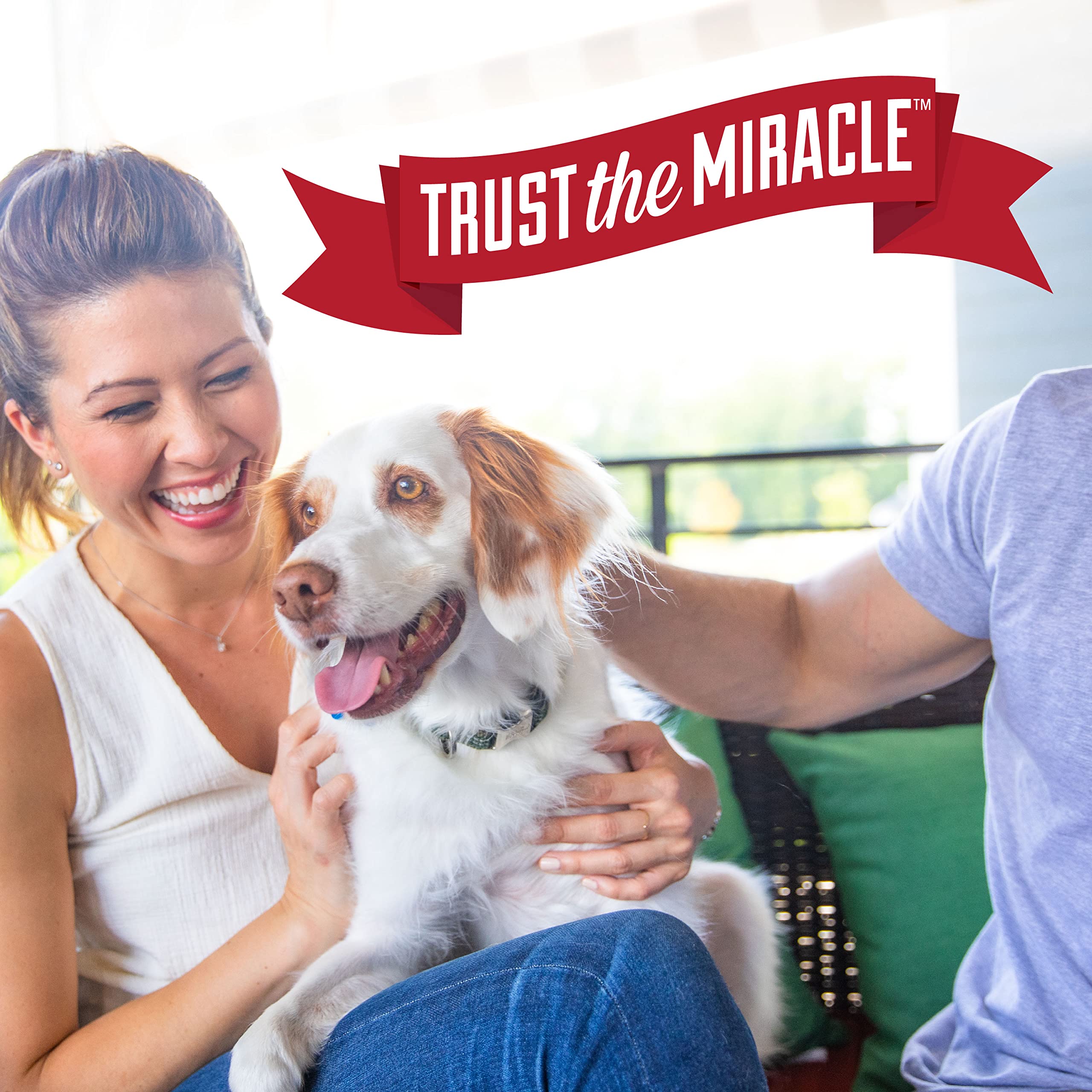 Nature's Miracle Urine Destroyer Plus for Dogs, Enzymatic Formula for Severe Dog Urine Stains, 32 fl oz - Image 9
