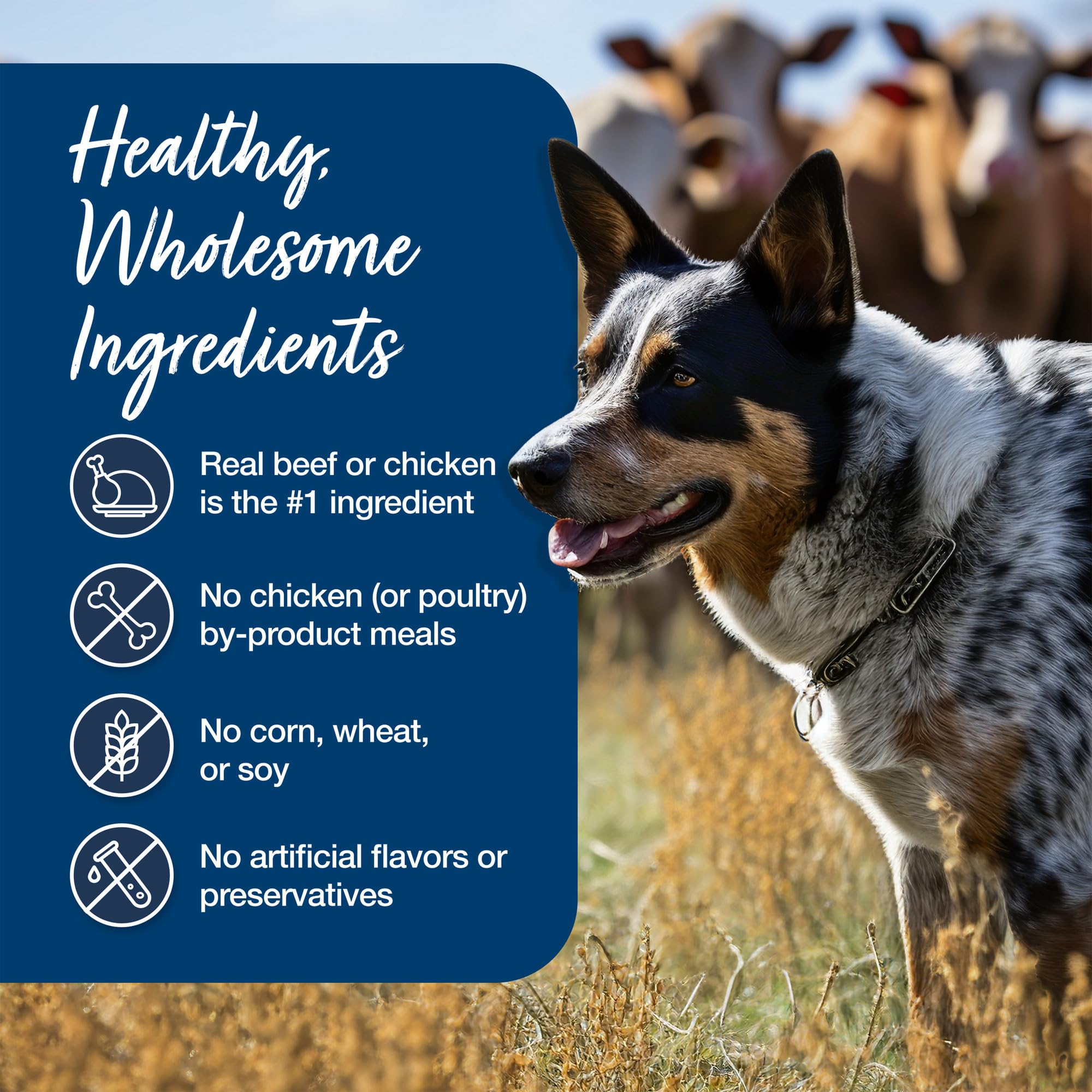 Blue Buffalo Blue's Stew Natural Wet Dog Food, Made with Natural Ingredients, Hearty Beef and Country Chicken Variety Pack, 12.5-oz Cans, 6 Count - Image 6