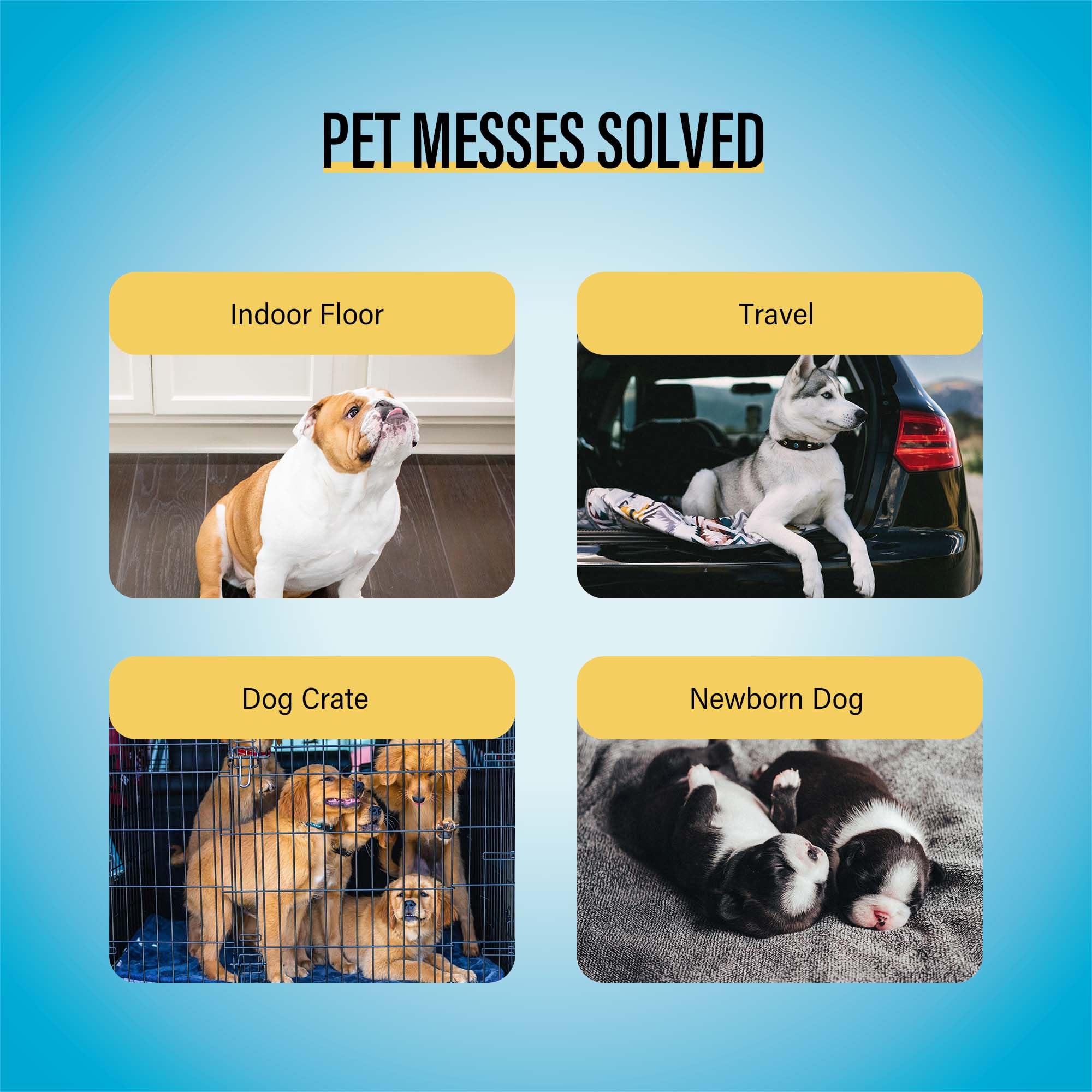 COCOYO Best Value 22"x22" Dog Training Pads 50 Count | Dog Pee Pads | Super Absorbent Puppy Pads,White - Image 5