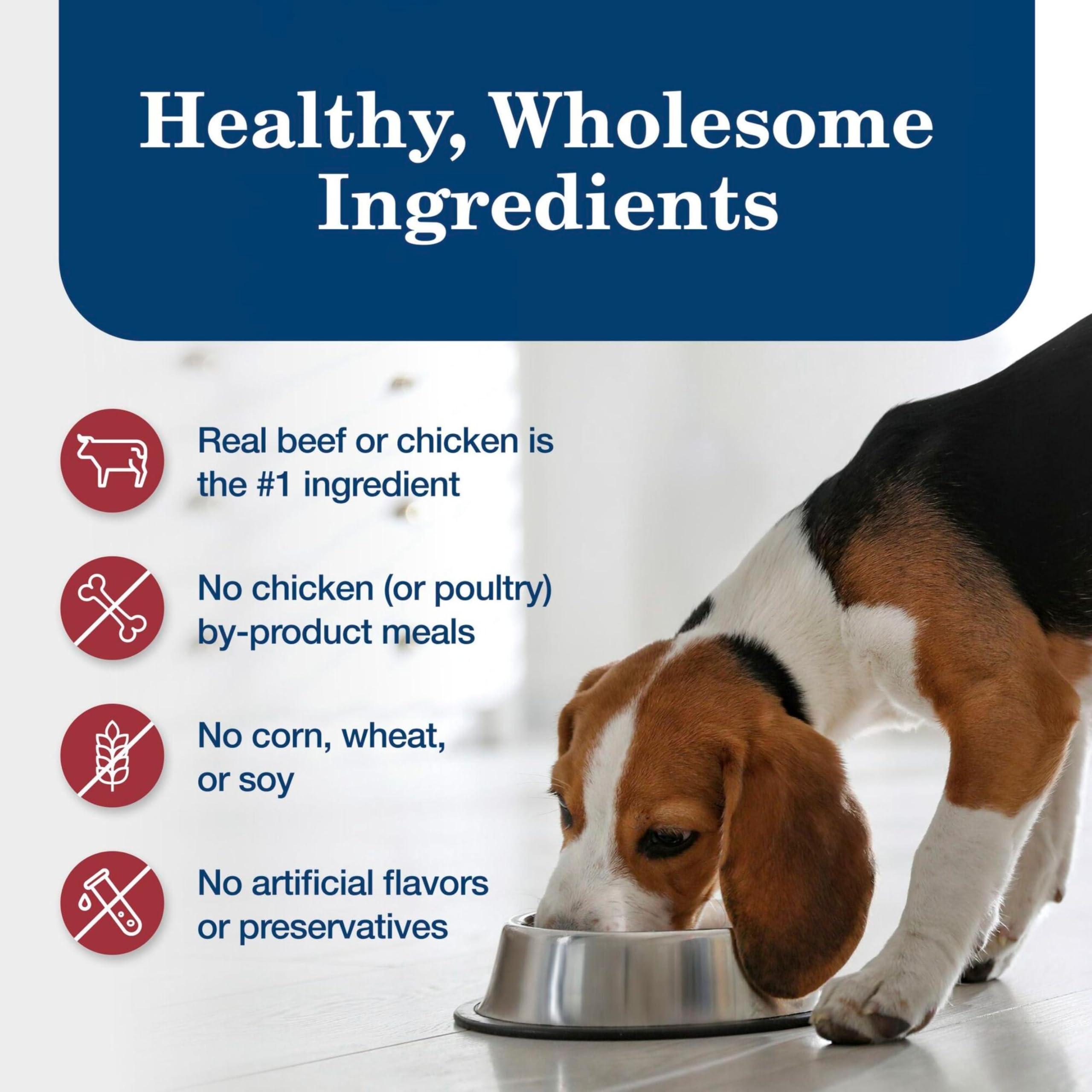 Blue Buffalo Homestyle Recipe Adult Wet Dog Food, Made with Natural Ingredients, Chicken and Beef Dinner Variety Pack, 12.5-oz Cans (6 Count, 3 of each) - Image 7
