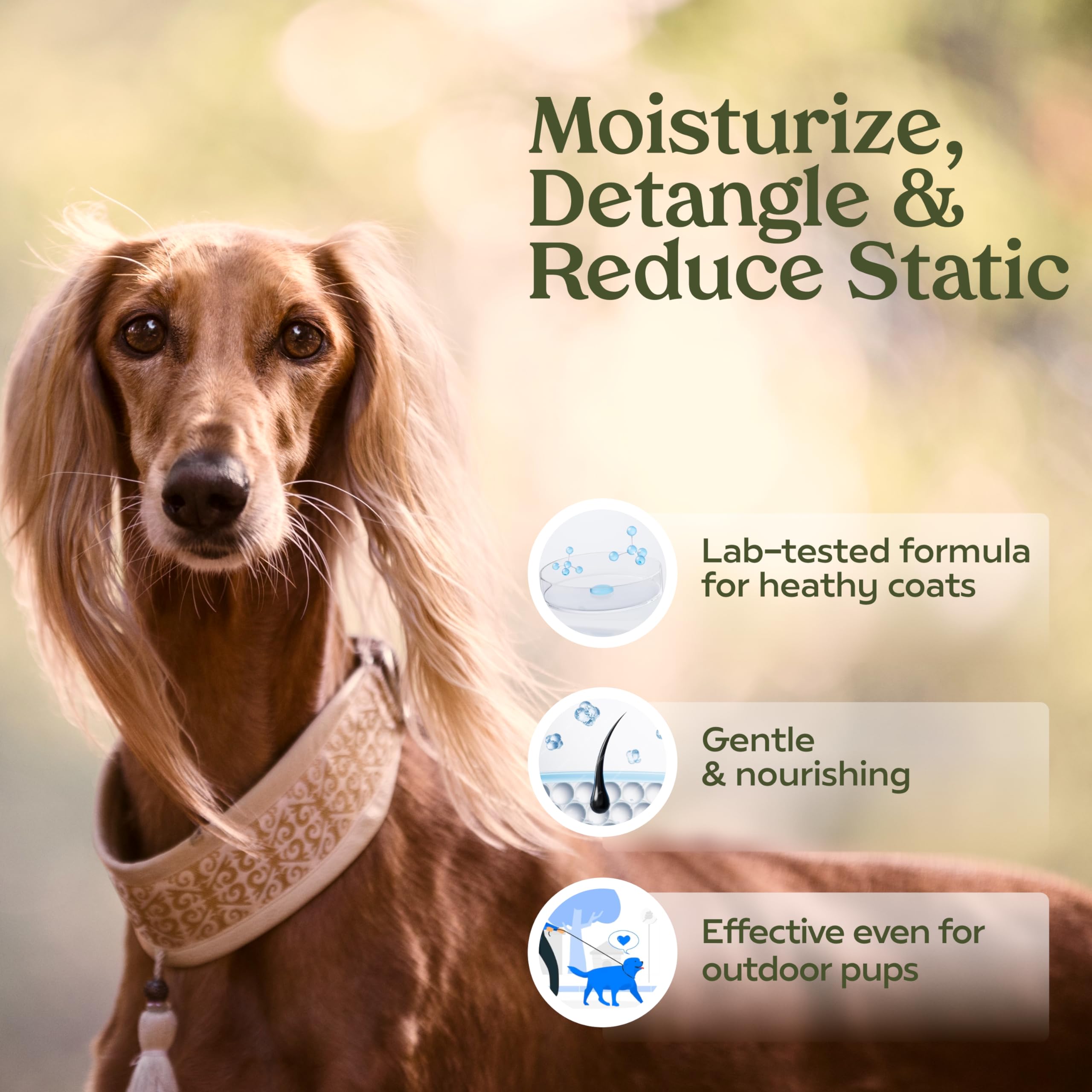 PAWFUME Dog Perfume Spray Long Lasting Scent for Grooming, Show Dog, 1-Pack ? Keep Your Pup Fresh All Day ? Hypoallergenic, Alcohol-Free, Detangling & Moisturizing ? Salon-Quality Dog Cologne Spray - Image 2