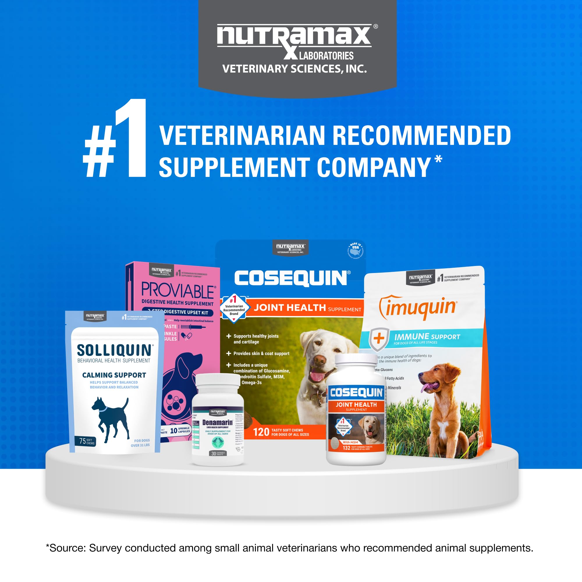 Nutramax Cosequin for Dogs Joint Health Supplement, Contains Glucosamine for Dogs, Plus Chondroitin and MSM, Supports Healthy Joints, For All Breeds and Sizes, Chewable Tablets, 132 Count - Image 9
