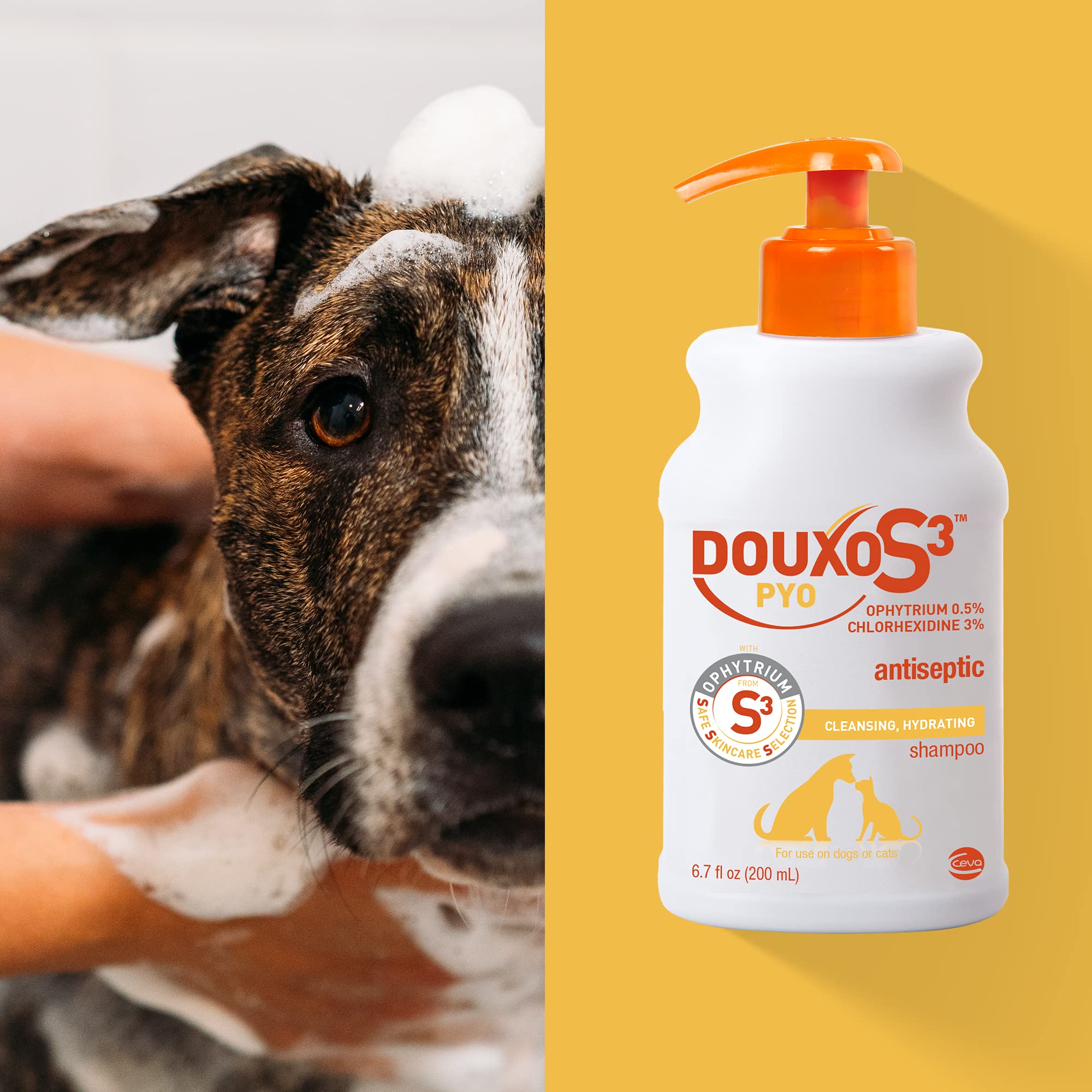 Douxo S3 Pyo Shampoo, Contains 3% Chlorhexidine & 0.5% Ophytrium, Antiseptic & Hydrating, For Bacterial or Yeast Skin Infections, For Dogs and Cats, 6.7 fl. oz. (200mL) - Image 4