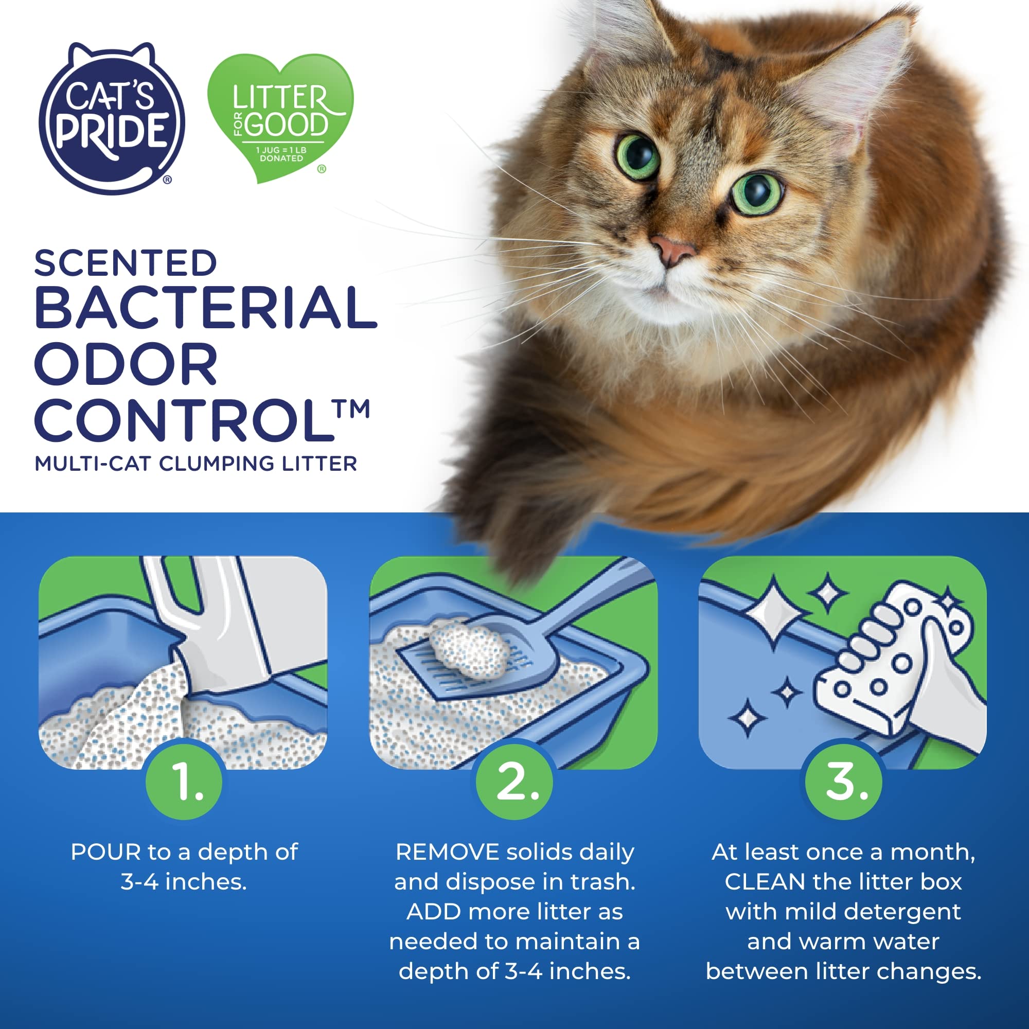 Cat's Pride Max Power: Bacterial Odor Control - Up to 10 Days of Powerful Odor Control - Strong Clumping - 99% Dust Free - Multi-Cat Litter, Scented, 15 Pounds - Image 4
