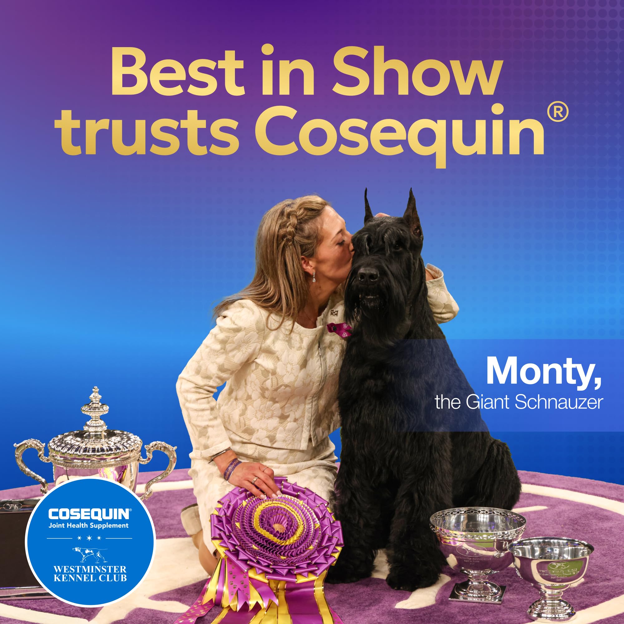 Nutramax Cosequin for Dogs Joint Health Supplement, Contains Glucosamine for Dogs, Plus Chondroitin and MSM, Supports Healthy Joints, For All Breeds and Sizes, Chewable Tablets, 132 Count - Image 6