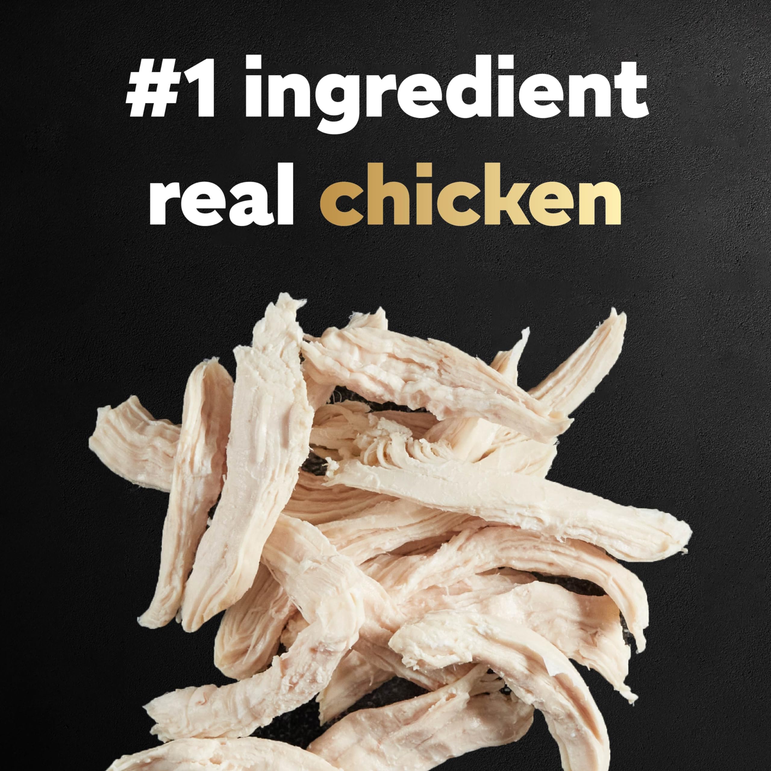 Cesar Small Breed Dry Dog Food Rotisserie Chicken Flavor and Spring Vegetables Garnish, 2.7 lb. Bag - Image 3
