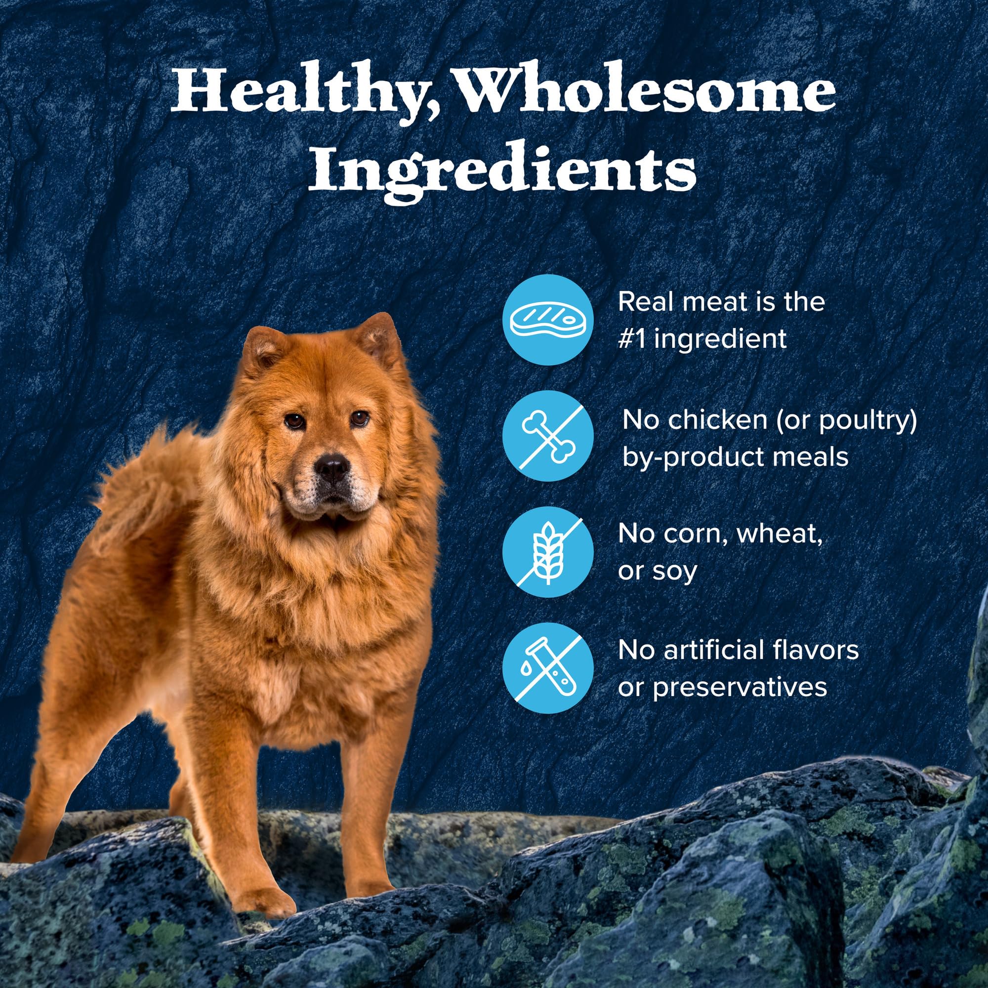 Blue Buffalo Wilderness Trail Toppers Wild Cuts Wet Dog Food Variety Pack, High-Protein & Grain-Free, Made with Natural Ingredients, Chicken and Beef Flavors, 3-oz Pouches, (12 Count, 6 of Each) - Image 5