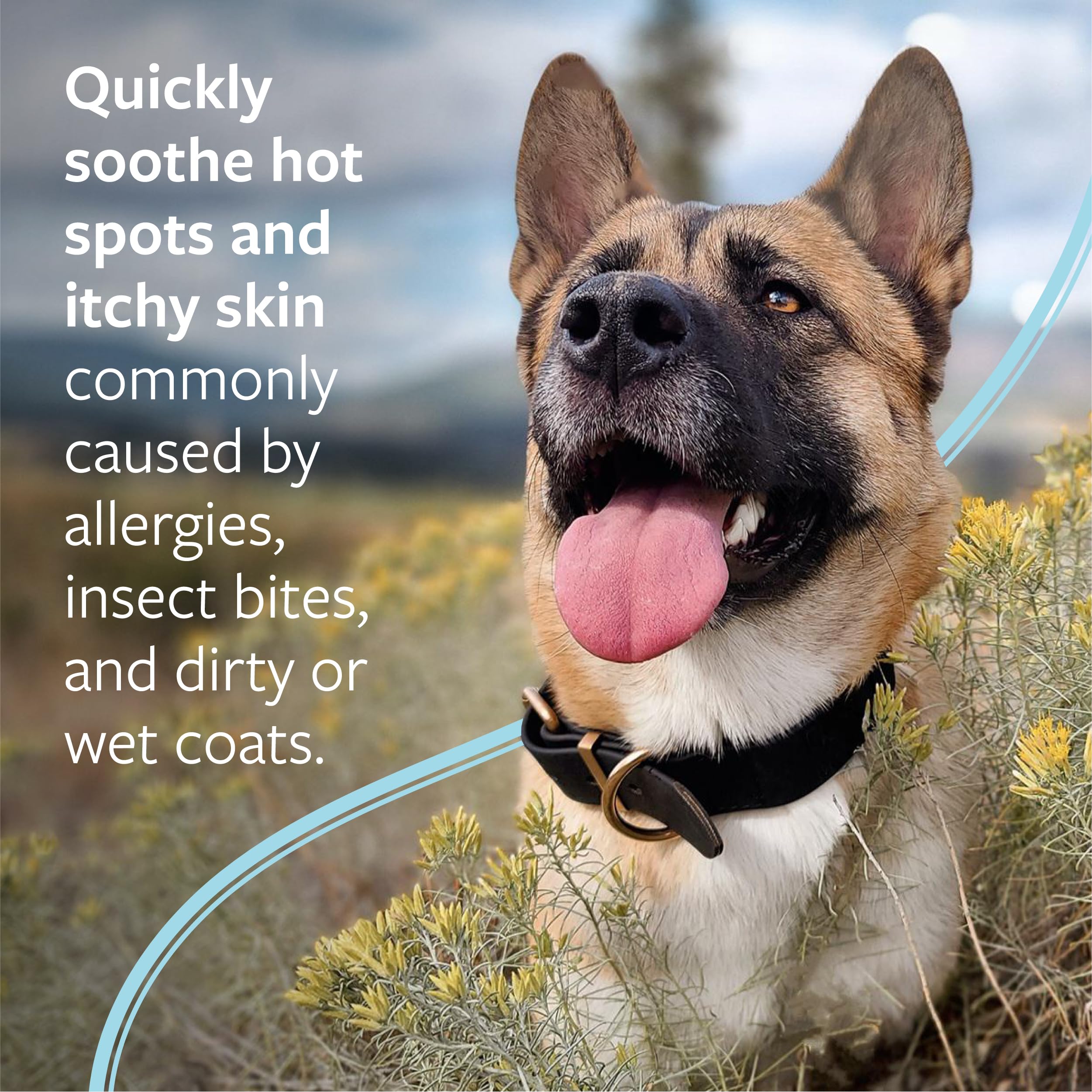 Veterinary Formula Clinical Care Hot Spot & Itch Relief Medicated Spray, 8oz ? Easy to Use Spray for Dogs & Cats ? Helps Alleviate Sensitive Skin, Scratching, and Licking of Coat (1 Pack) - Image 2